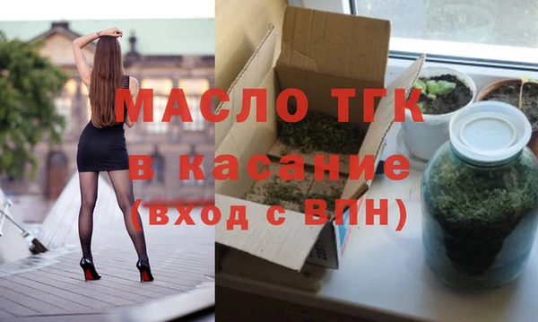 индика Абаза