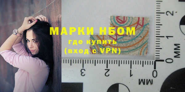 индика Абаза