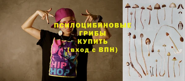 индика Абаза