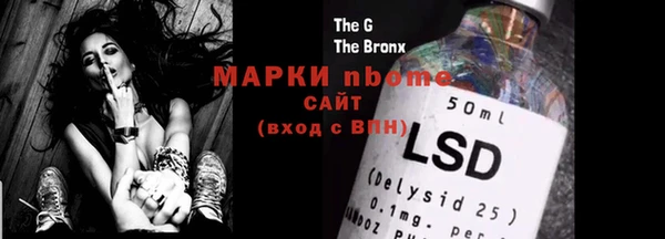 бошки Няндома