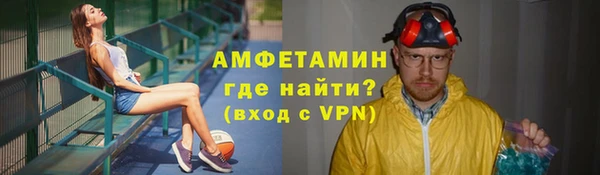 индика Абаза