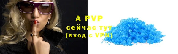 индика Абаза