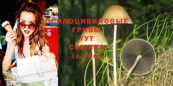 spice Абинск