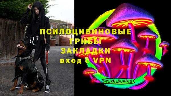 spice Нязепетровск