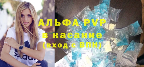 индика Абаза