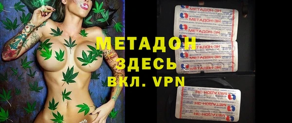 индика Абаза