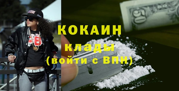 бошки Няндома