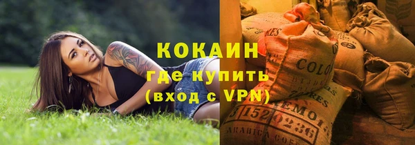индика Абаза